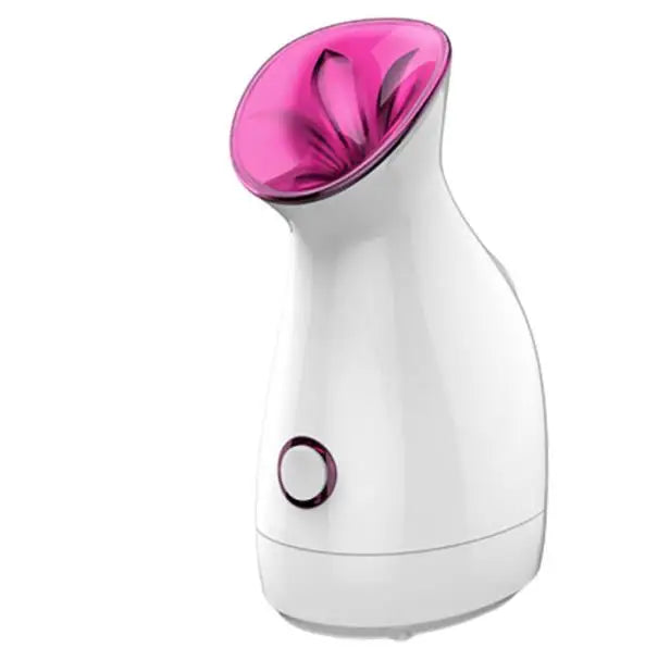 Facial Steamer Household Nano-ion