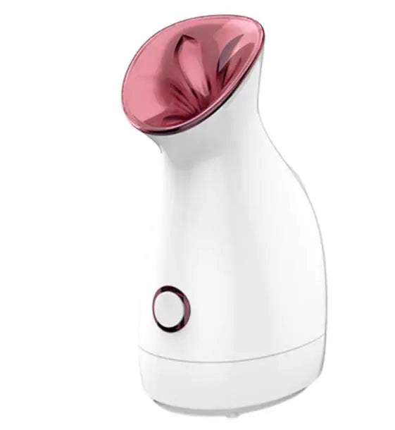 Facial Steamer Household Nano-ion