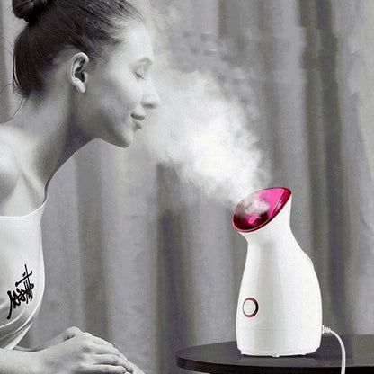 Facial Steamer Household Nano-ion