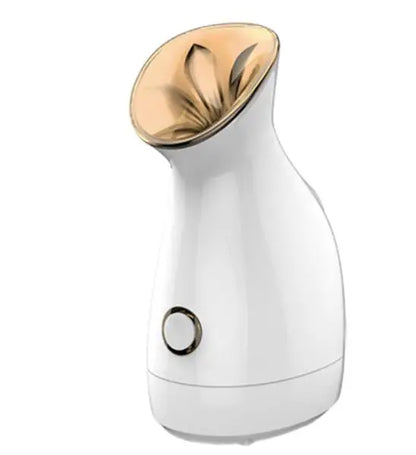 Facial Steamer Household Nano-ion